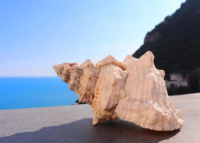 Ilary House - De Vivo Realty