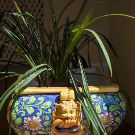 Ilary House - De Vivo Realty